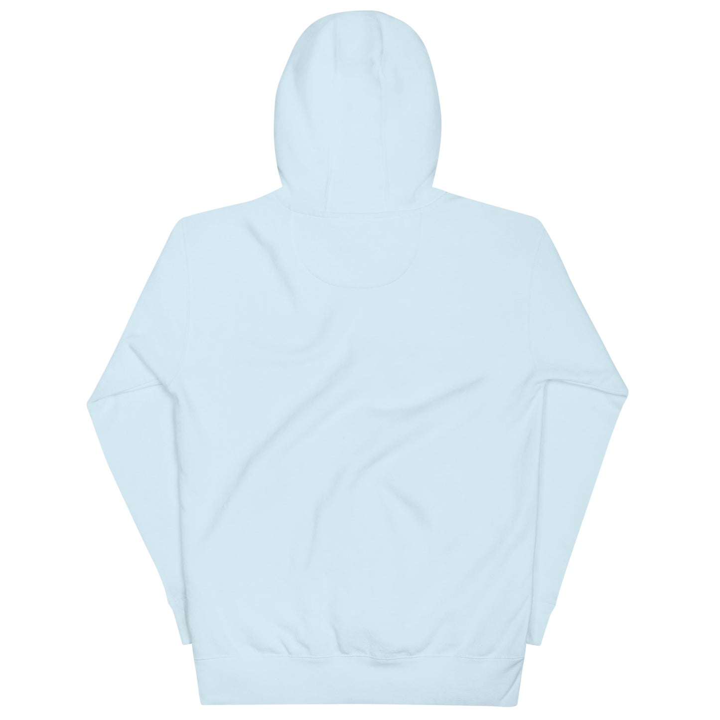 RICH IN WHAT MATTERS HOODIE